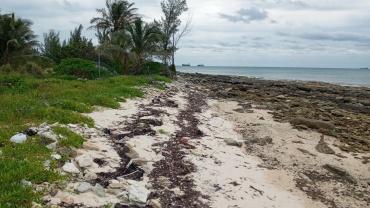 WATER FRONT PROPERTY IN JONES TOWN EIGHT MILE ...