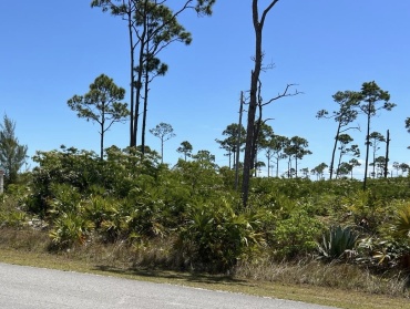 BB-121  DUPLEX LOT ON YORKSHIRE DRIVE, SOUTH BAHAMIA; LOT# 23, BLOCK# 3 BAHAMIA WEST REPLAT SUBDIVISION.