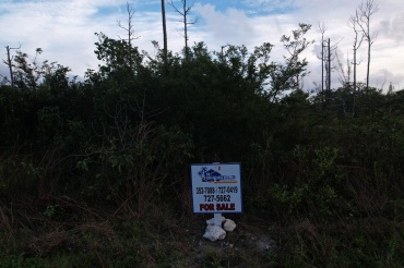 BB-0101 PINE BAY BLOCK 1, LOT NUMBER 119, PINE BAY SUBDIVISION-CANAL LOT.