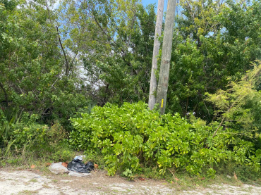 VACANT LAND AND TWO HOUSES IN THE CORAL BEACH HOTEL AREA FOR SALE