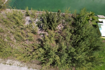 BB-091 LADY LAKE-SINGLE FAMILY LOT ON ABBY DRIVE